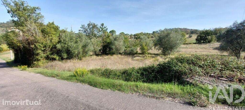 Terreno Agrícola em Colmeias e Memória - Grande imagem: 5/5