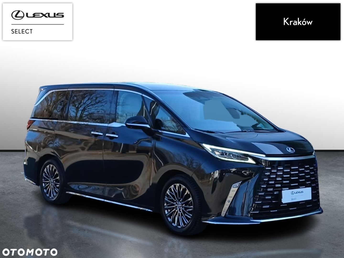 Lexus LM - 6