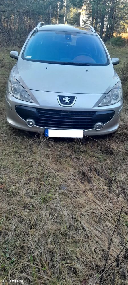 Peugeot 307 1.6 Premium - 2