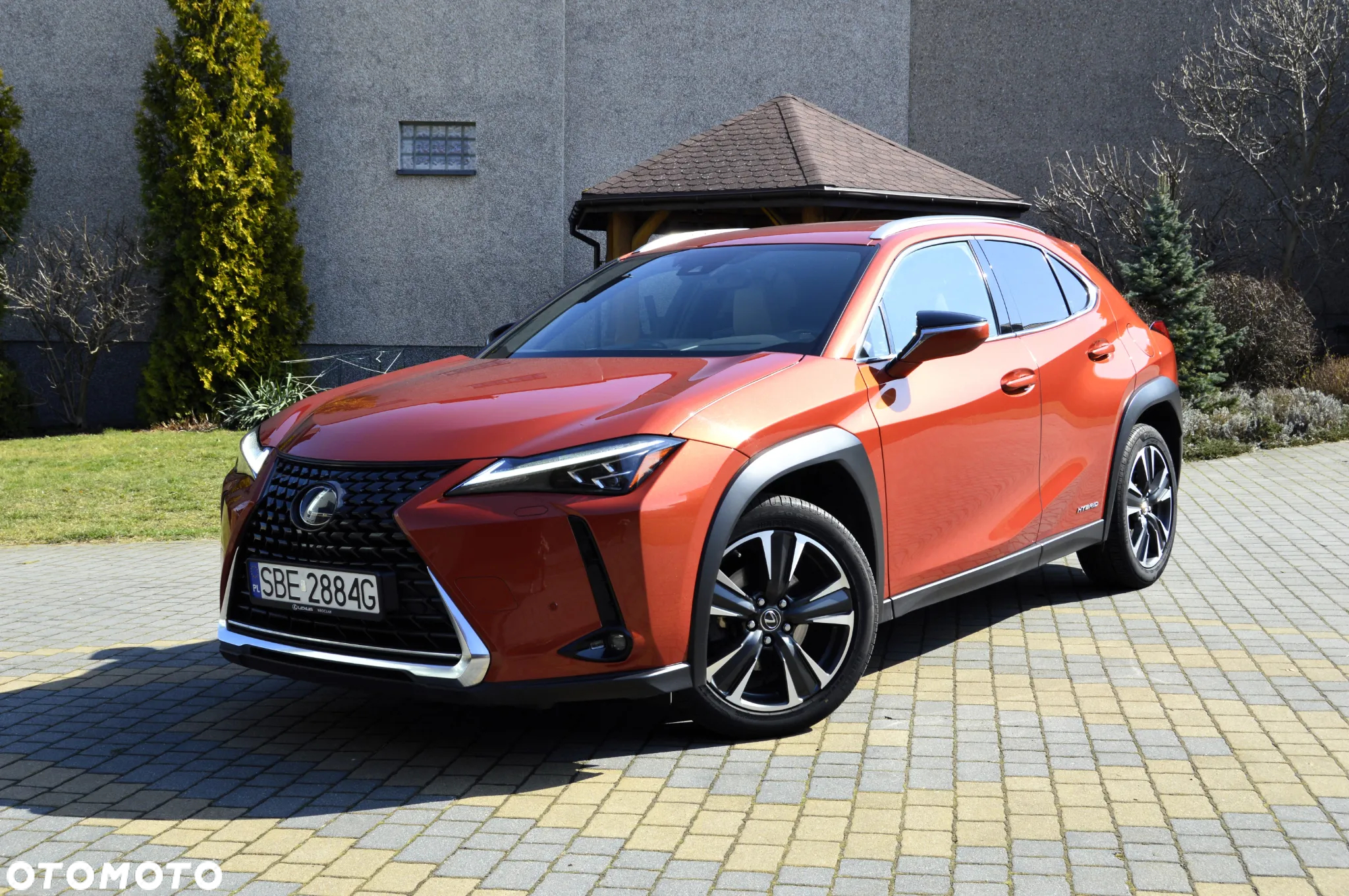 Lexus UX 250h Prestige 2WD - 17
