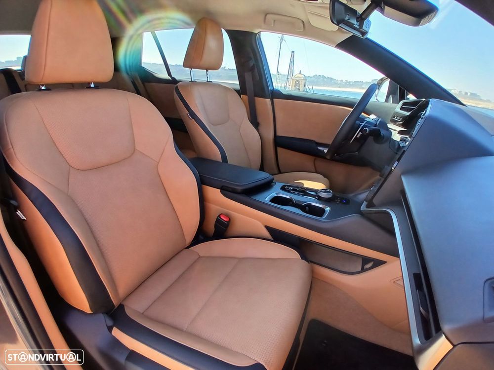 Lexus RZ 300e Premium - 13