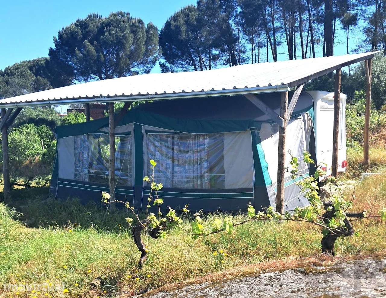 Vistas para o Mondego | 1 Hectare | Ruína em Granito | Um Refúgio de V - Grande imagem: 5/43