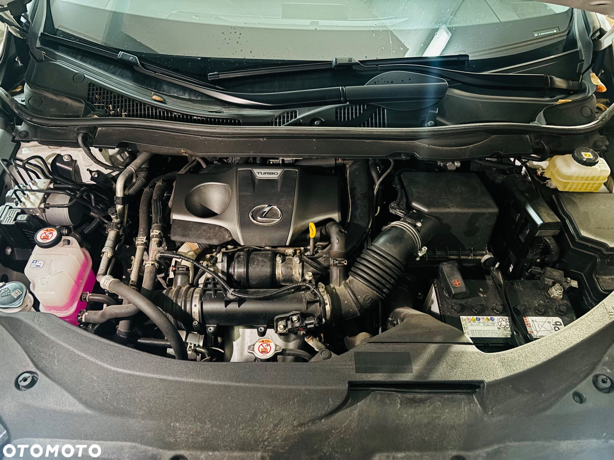 Lexus RX 300 Business Edition + - 14
