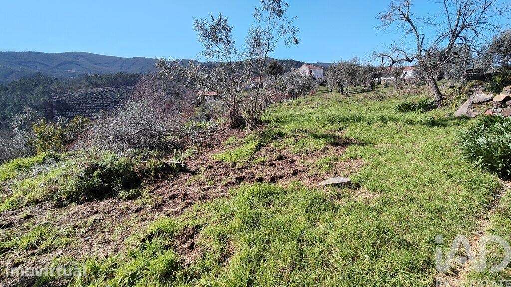 Casa / Villa T2 em Alvares de 70,4 m2 - Grande imagem: 3/38