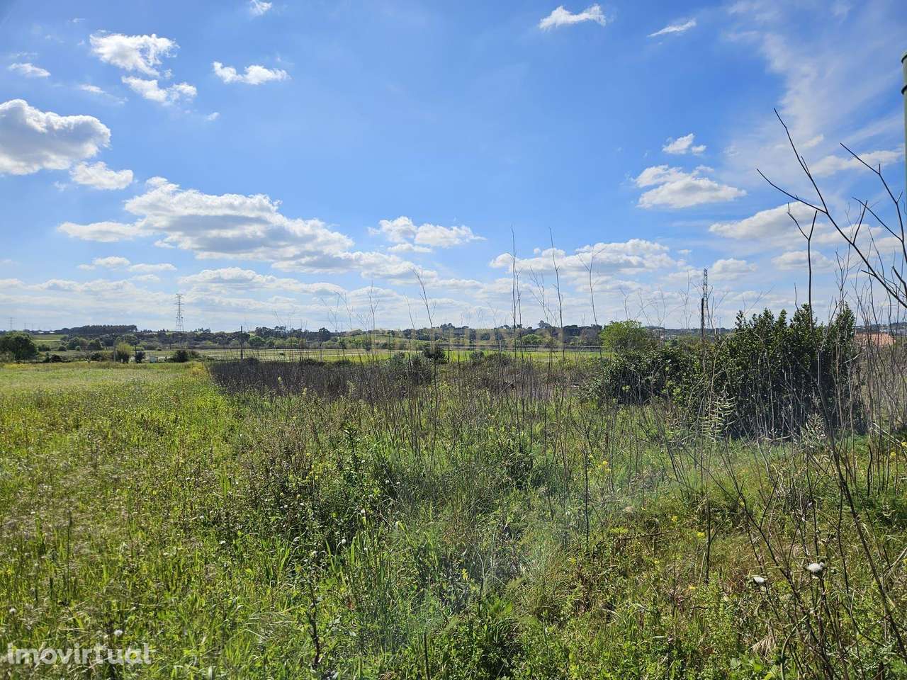 Terreno Agrícola nos Riachos - Grande imagem: 5/10