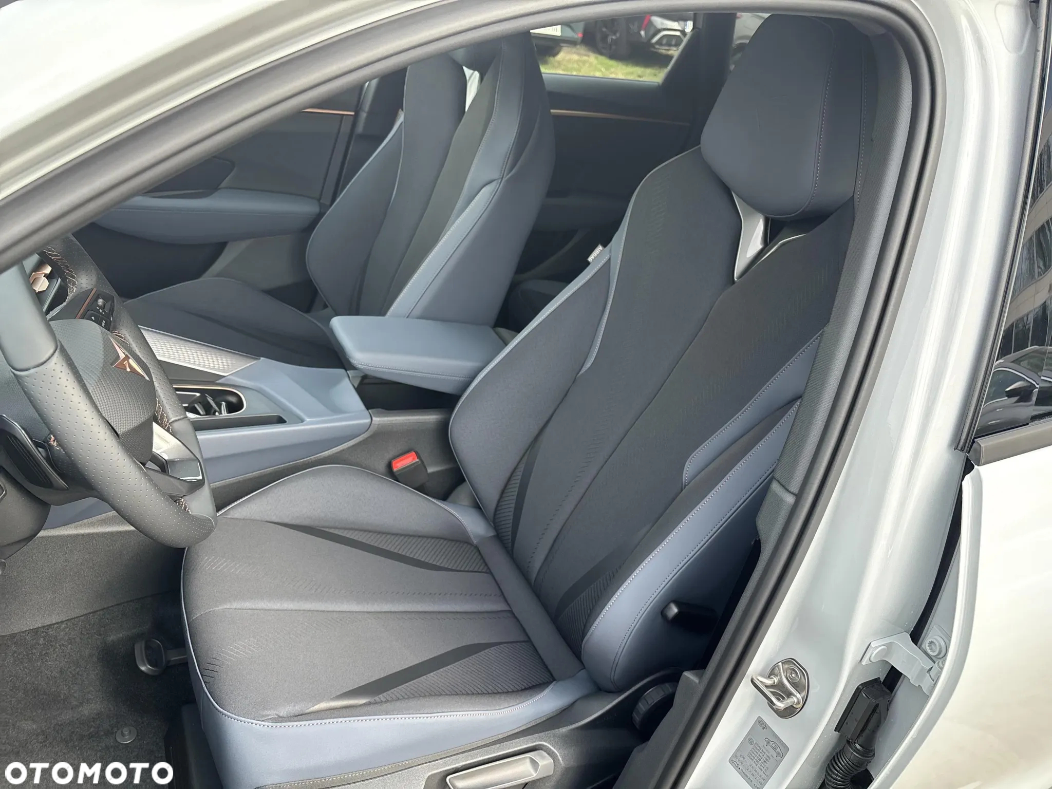 Cupra Terramar - 10