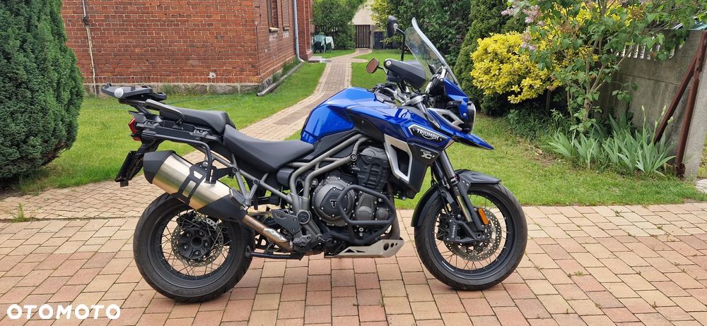 Triumph Tiger - 3