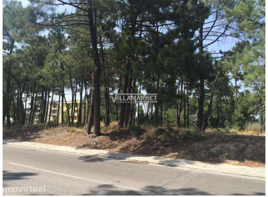 Terreno para construção com 204 m2 inserido na Urbanização Pinhal de N - Grande imagem: 3/3