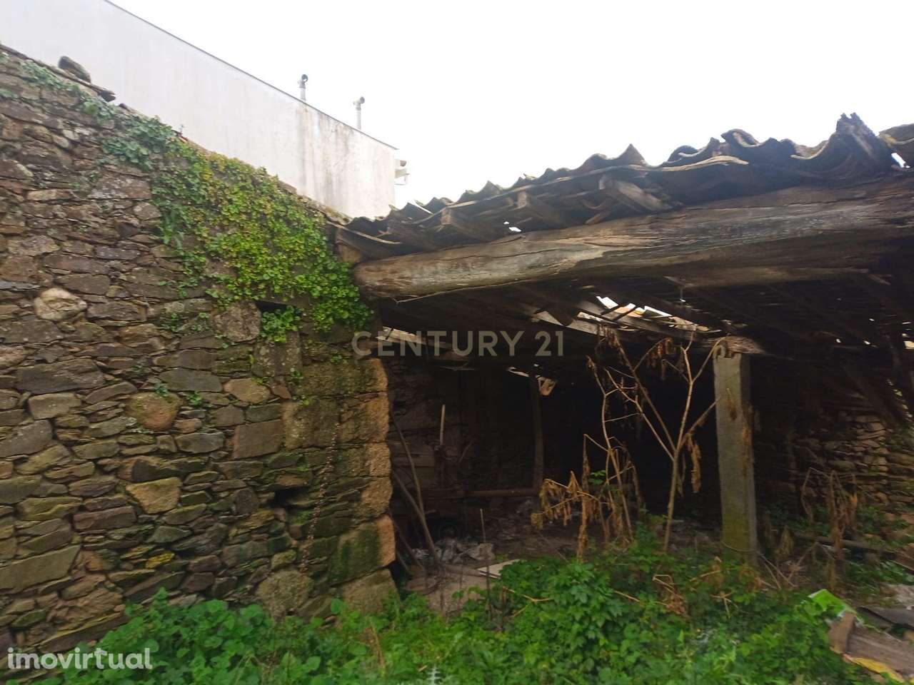 Palheiro em Palvarinho, Salgueiro do Campo,Castelo Branco - Grande imagem: 4/11