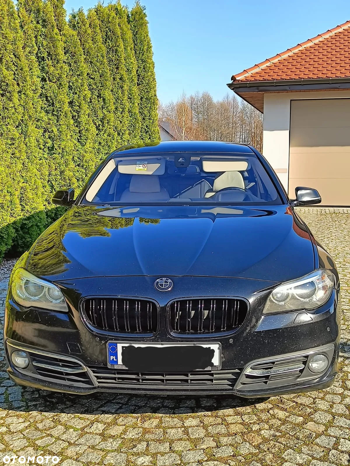 BMW Seria 5 530d xDrive Luxury Line - 2
