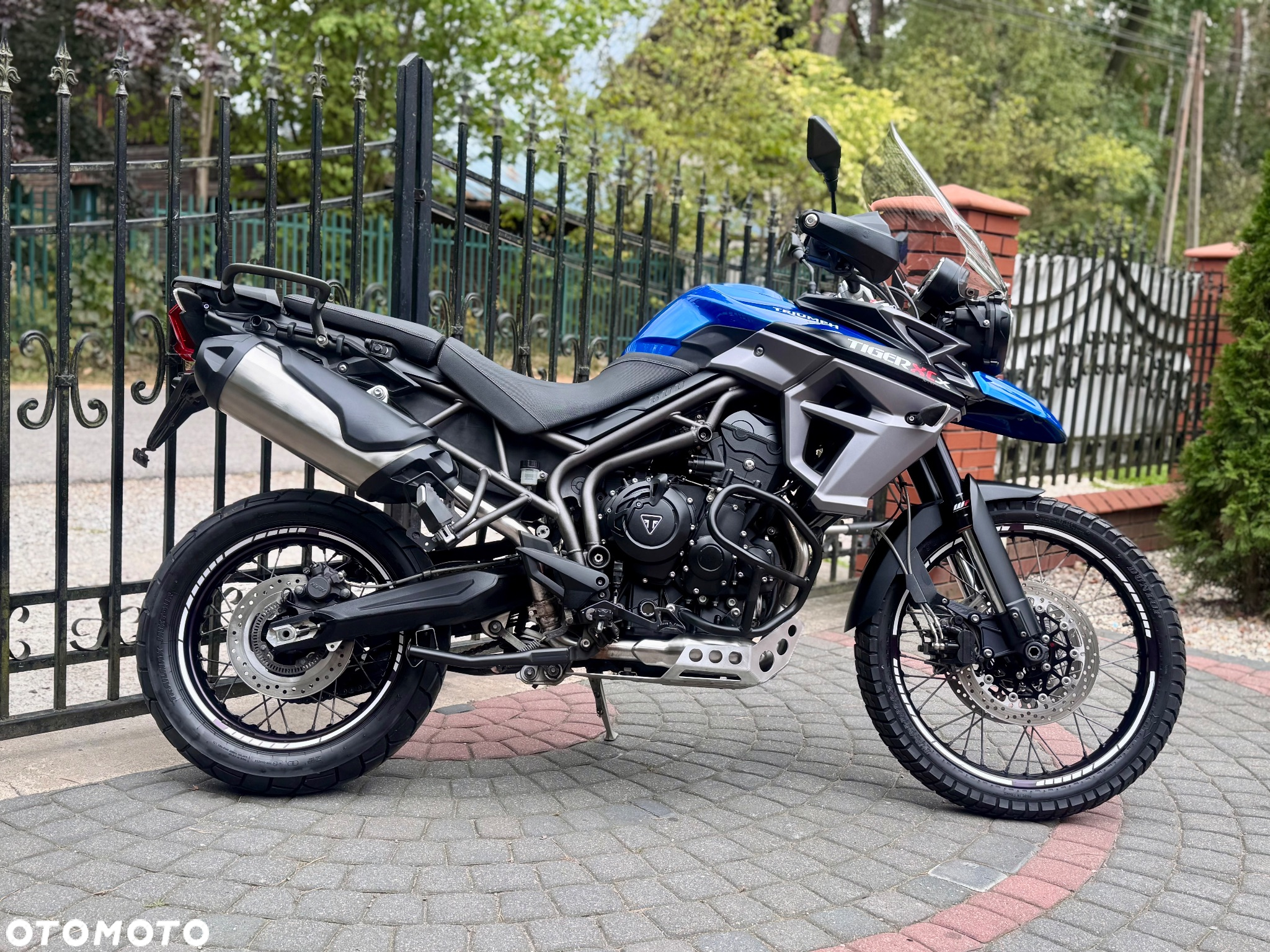 Triumph Tiger - 3