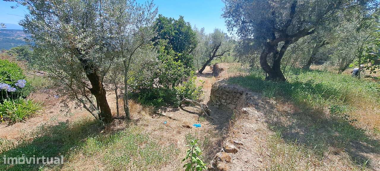Terreno para construção em Fragosela, Viseu - Oportunidade Única! - Grande imagem: 5/9