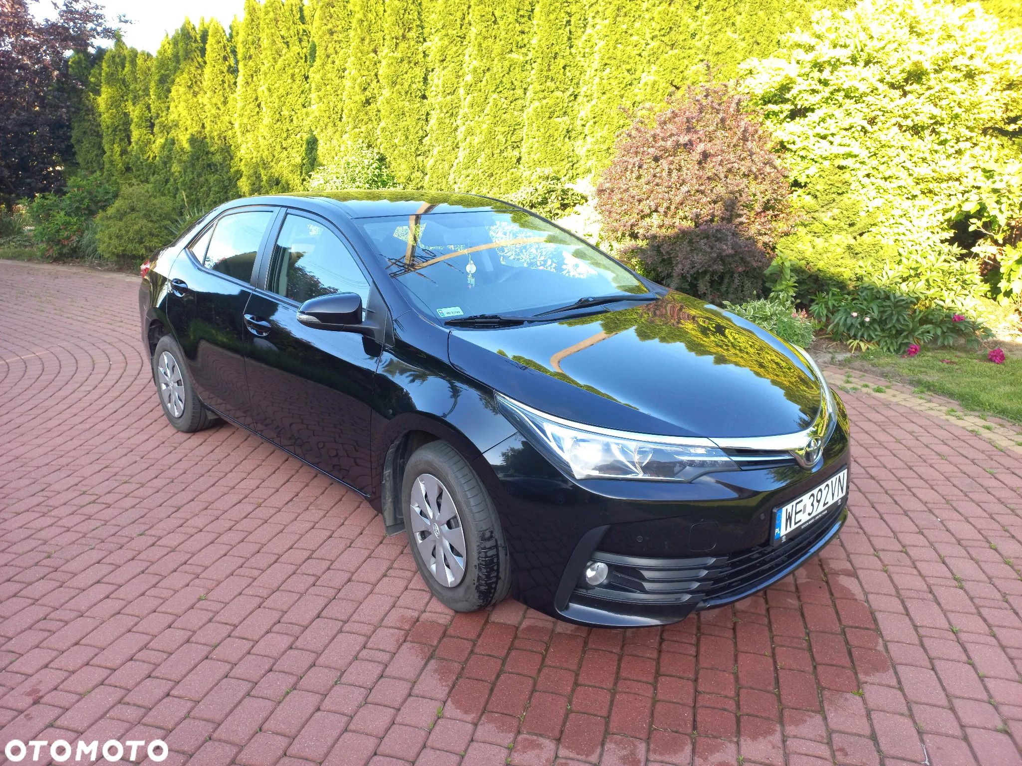 Toyota Corolla 1.6 Active - 1