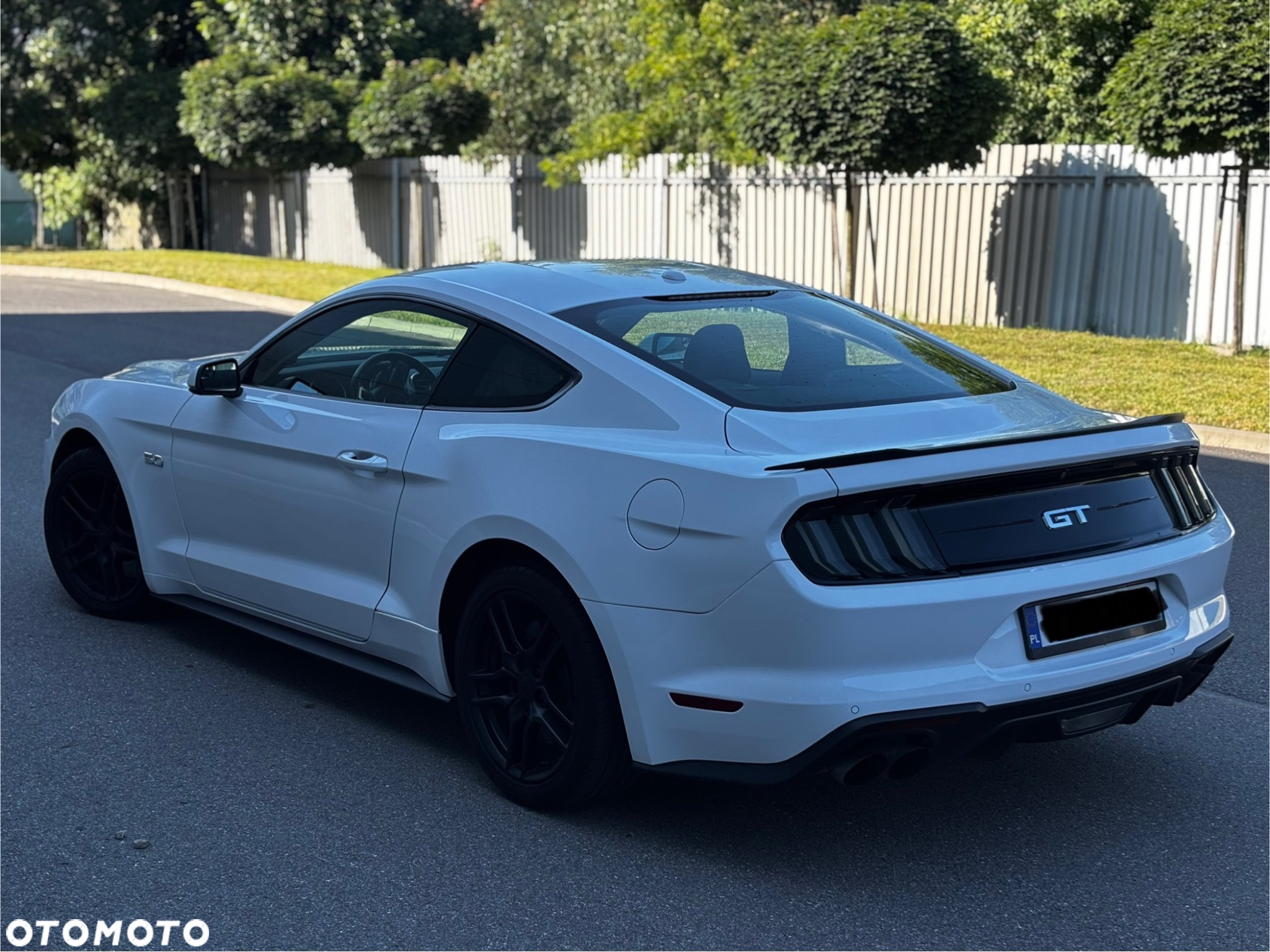 Ford Mustang Fastback 5.0 Ti-VCT V8 MACH1 - 6