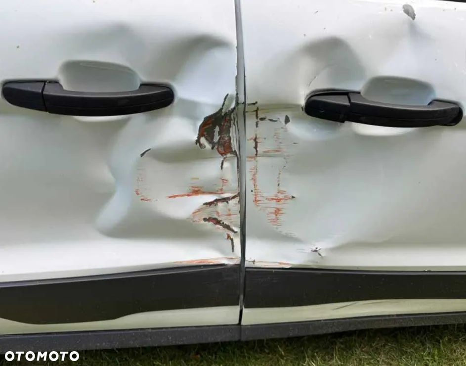 Ford Transit Connect - 4