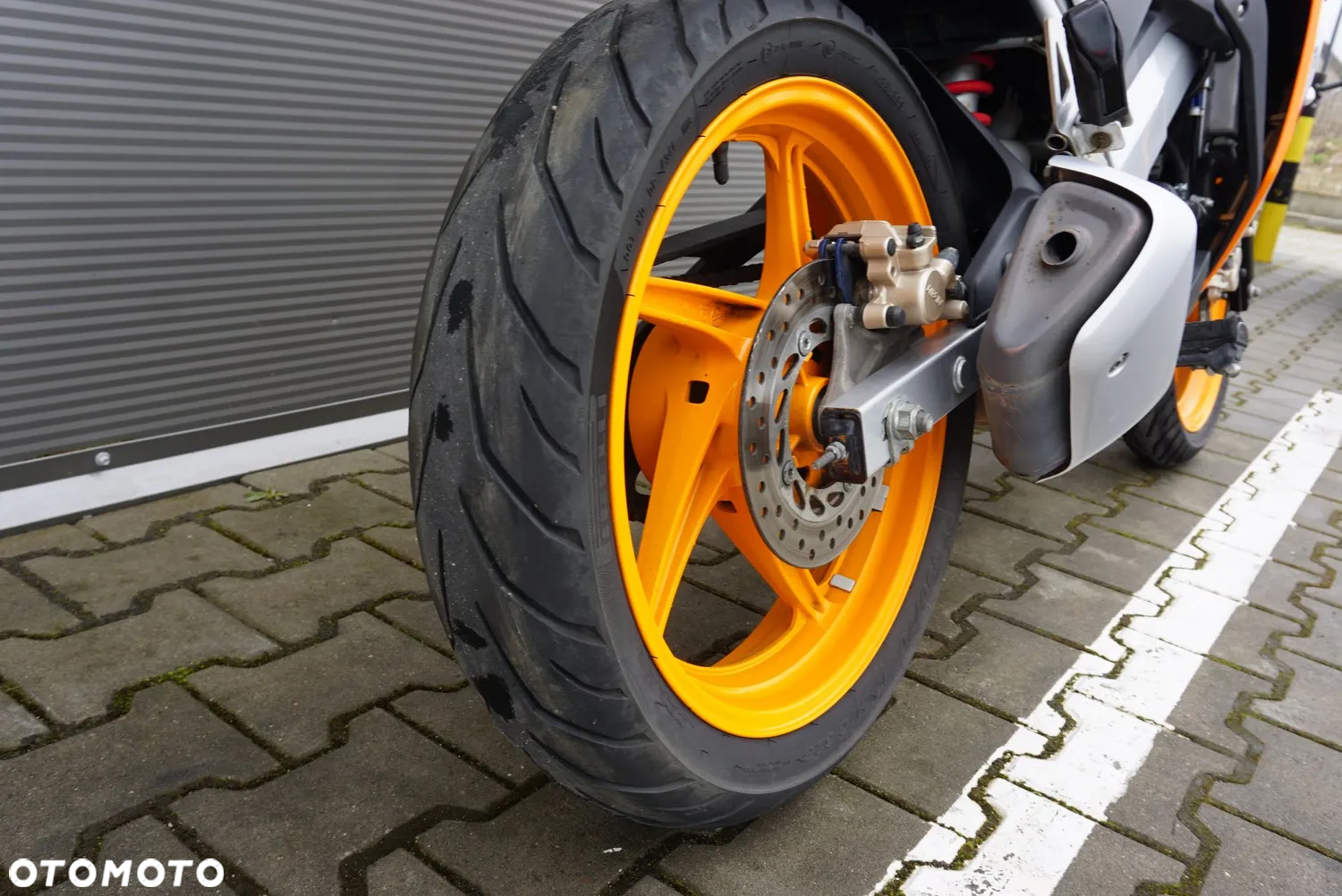 Honda CBR - 13