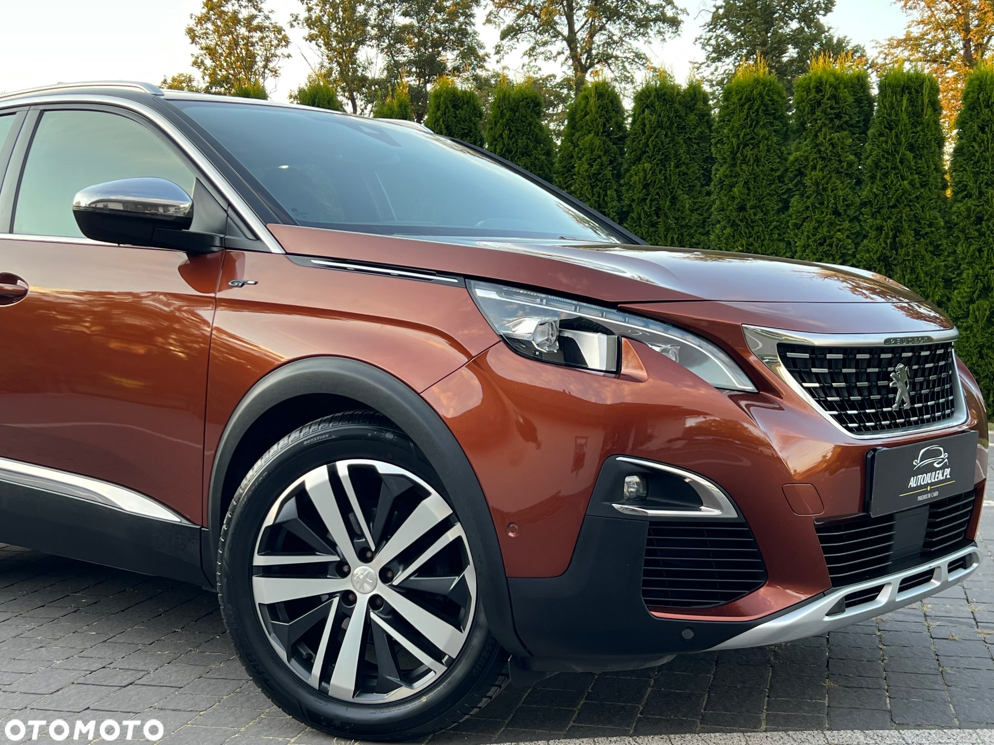 Peugeot 3008 2.0 BlueHDi GT S&S EAT6 - 19