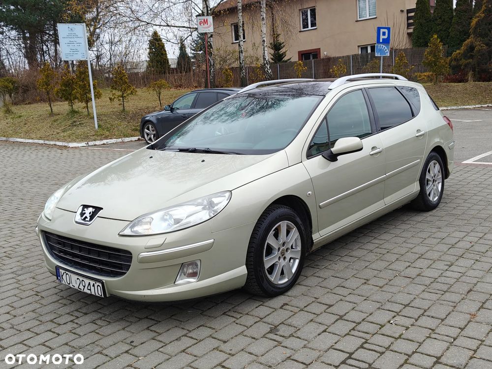 Peugeot 407 2.0 HDI Platinum - 37