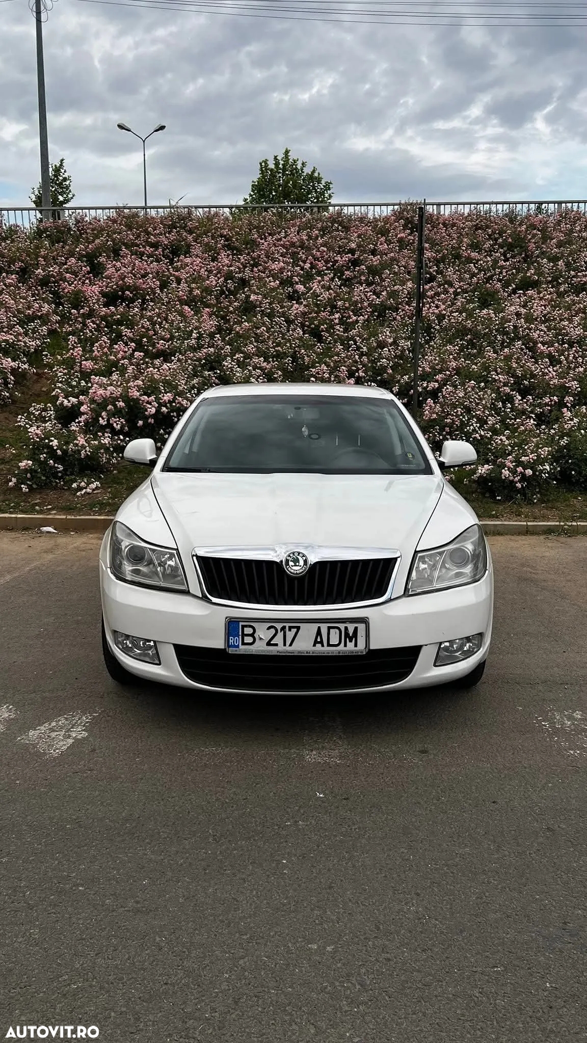 Skoda Octavia 1.6 TDI Drive - 14