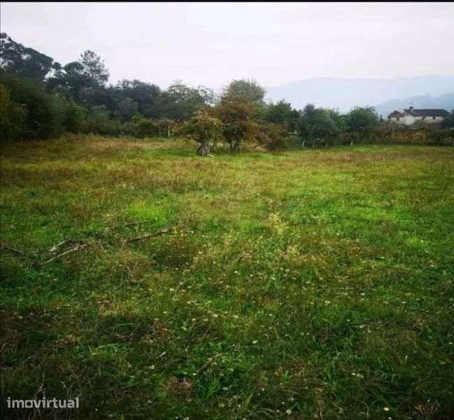 Terreno agrícola com 3200 m2 - Grande imagem: 2/3