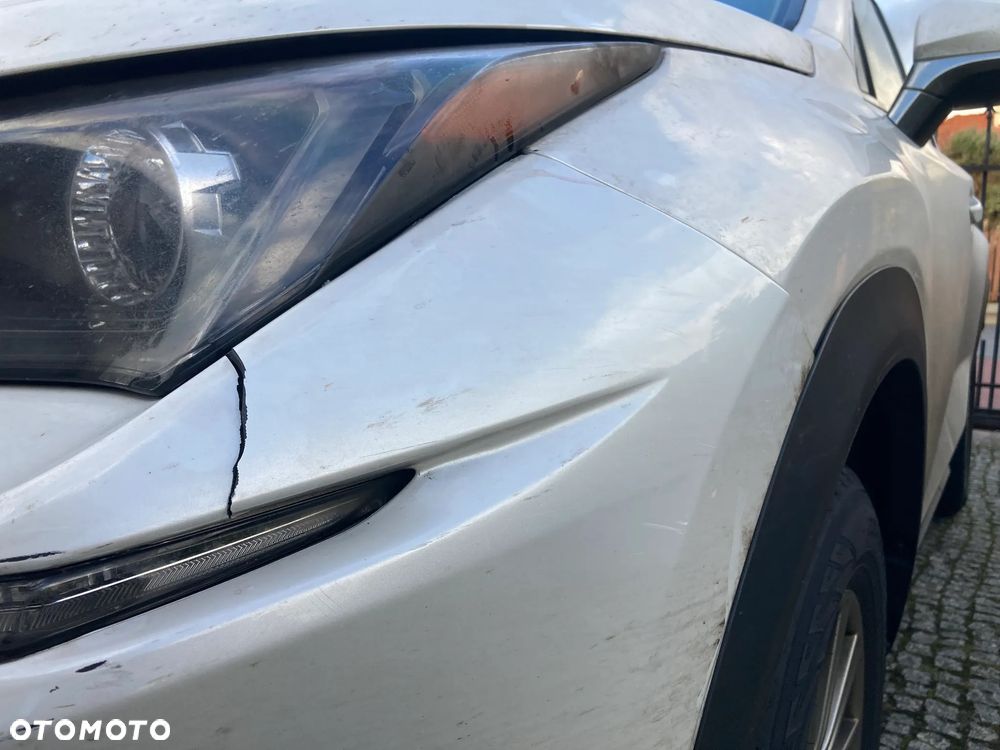 Lexus NX 300 Business Edition AWD - 12