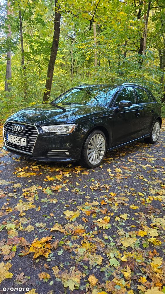 Audi A3 ver-1-4-tfsi-cylinder-on-demand-ultra-s-tronic - 6