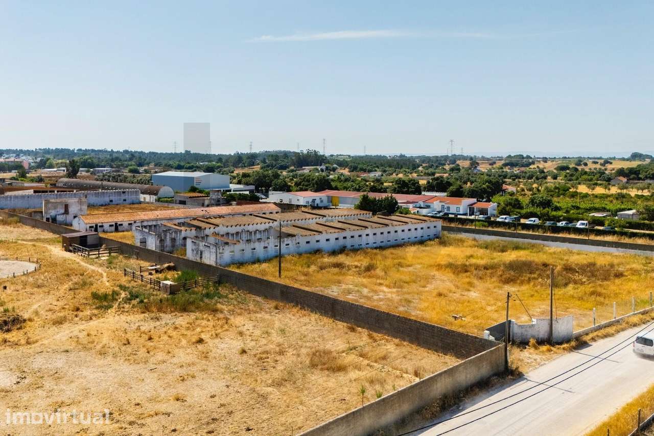 Invista no Sonho: Terreno 9.250 m2 c/ Potencial Único | Quinta do Anjo - Grande imagem: 2/41