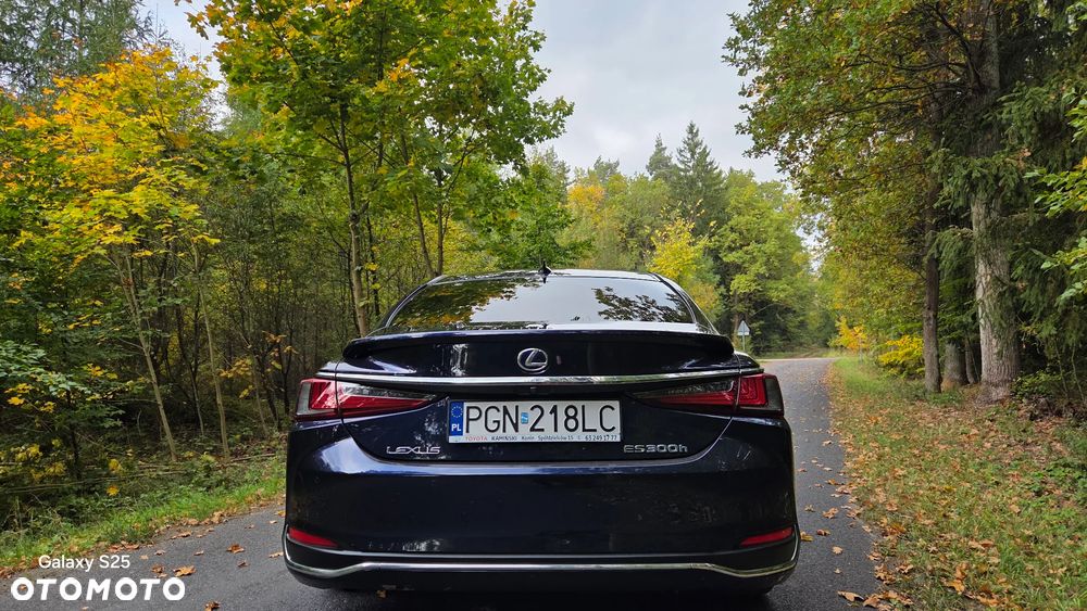 Lexus ES 300h Prestige - 7