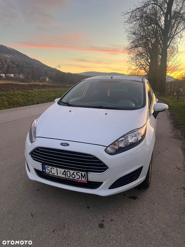 Ford Fiesta - 1