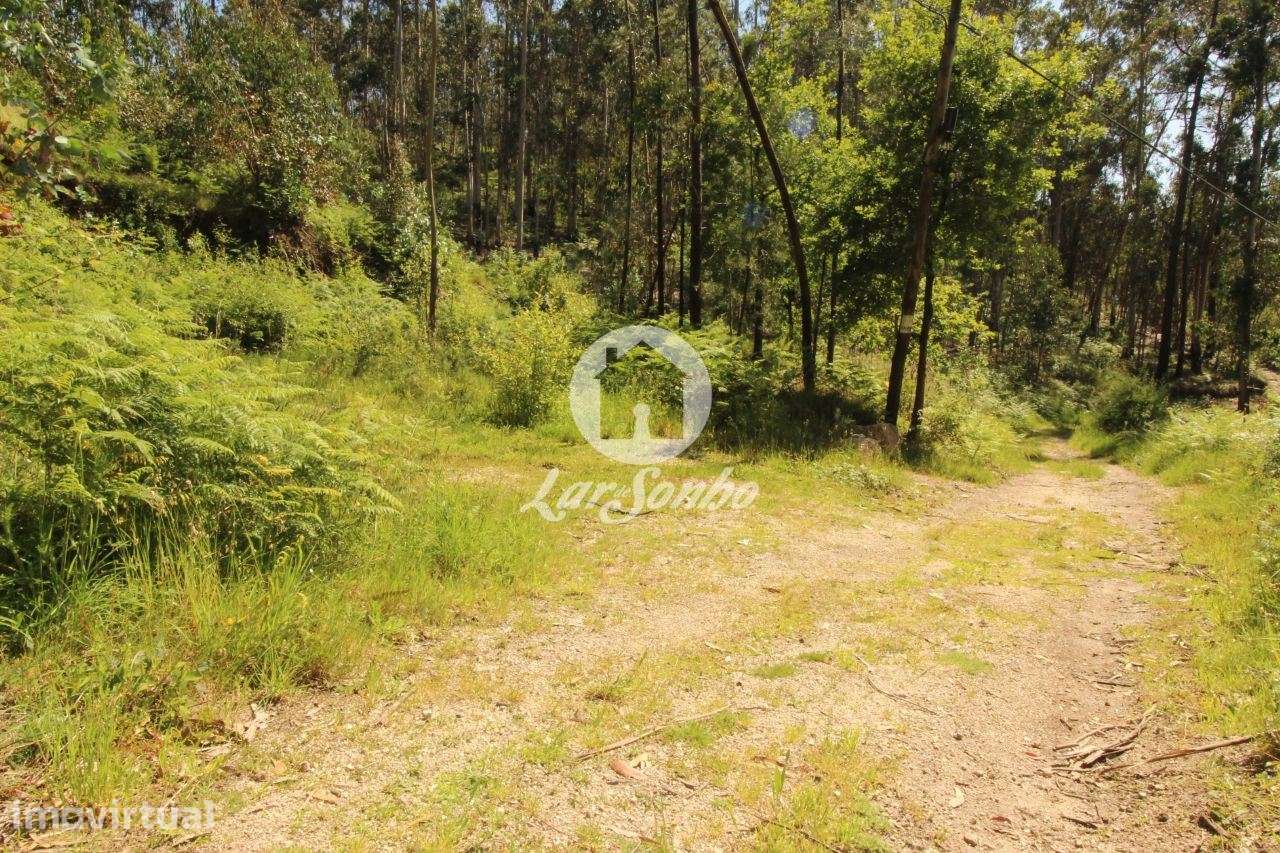 erreno com 5.000 m² em Arões S. Romão  Fafe - Grande imagem: 3/11