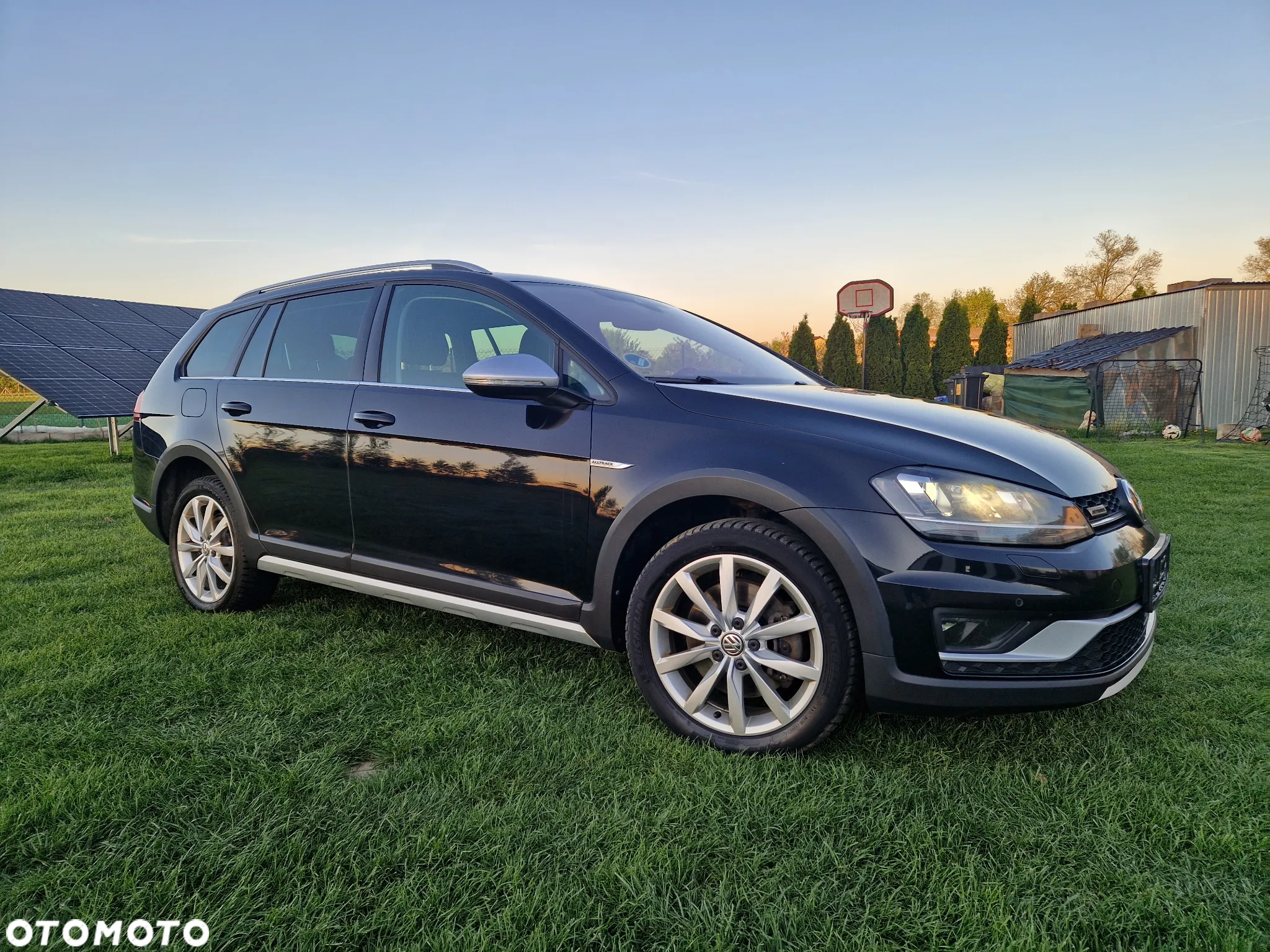 Volkswagen Golf Alltrack 2.0 TDI BMT 4Mot DSG - 7