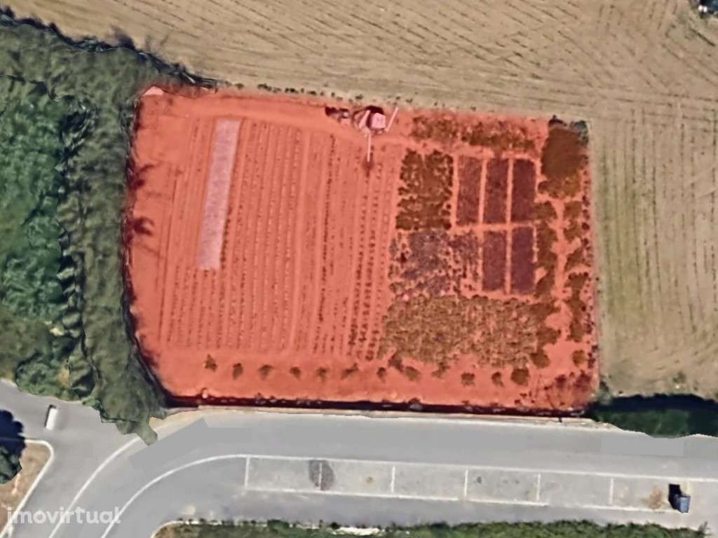 Terreno para moradias a 250 metros da praia - Grande imagem: 2/4