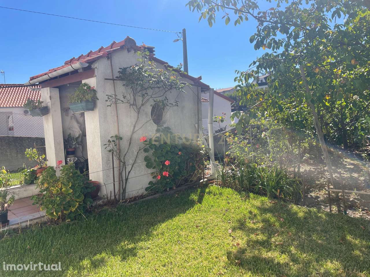 Moradia isolada T3 em Aguiar da Beira - Grande imagem: 5/24