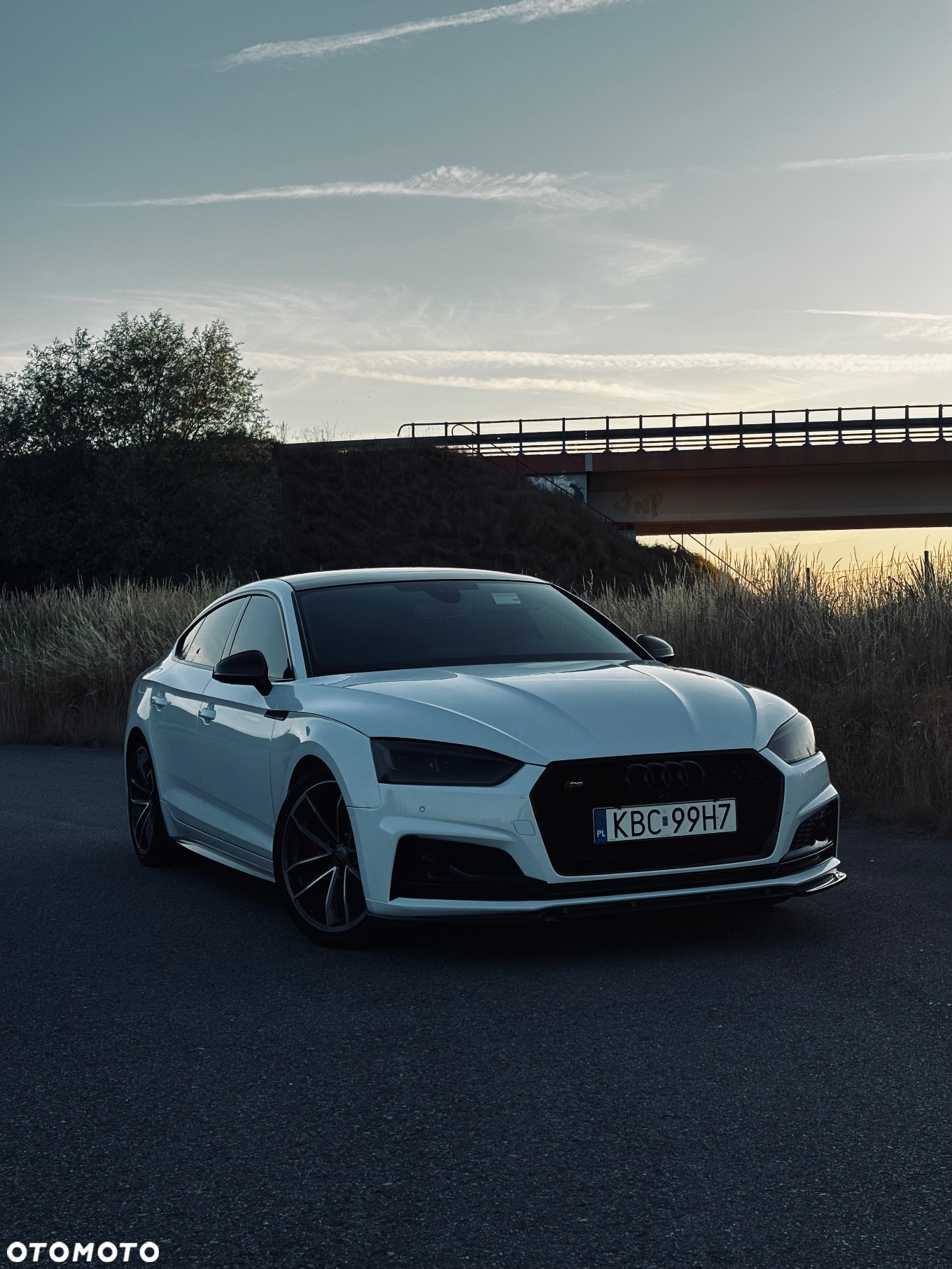Audi S5 3.0 TFSI Quattro Tiptronic - 16