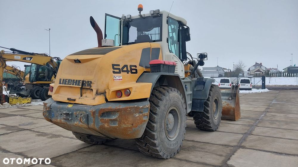 Liebherr L546 - 19