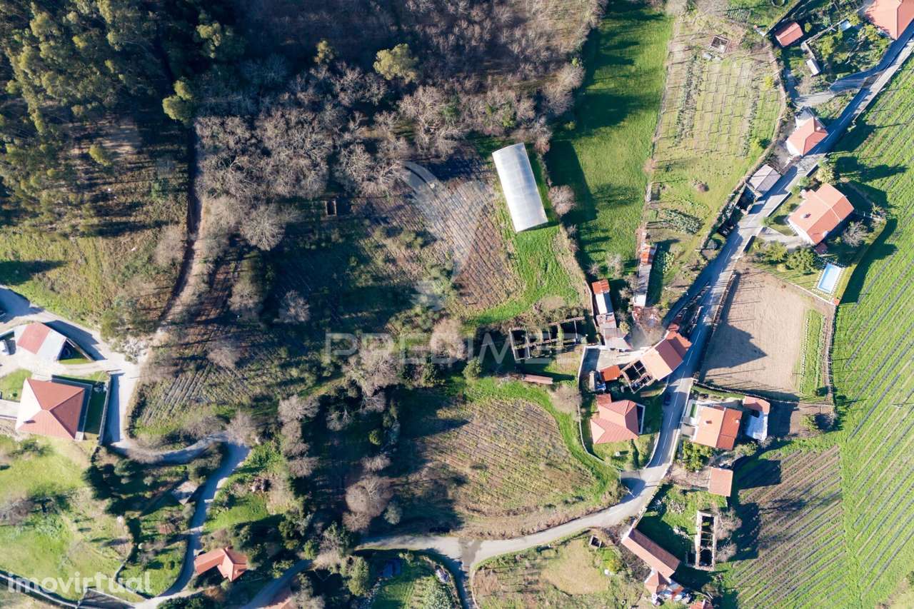 Quinta com casa 300M2 em Serzedelo, Póvoa de Lanhoso, Braga - Grande imagem: 2/23