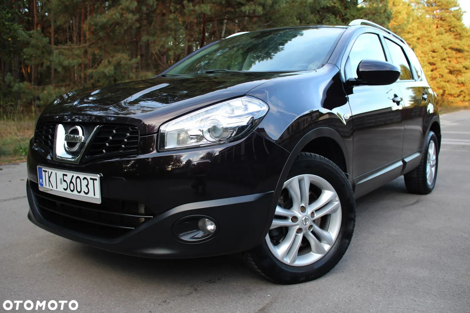 Nissan Qashqai+2 2.0 dCi Tekna Premium - 29