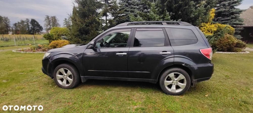 Subaru Forester - 9