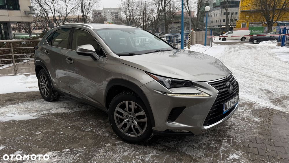 Lexus NX - 14