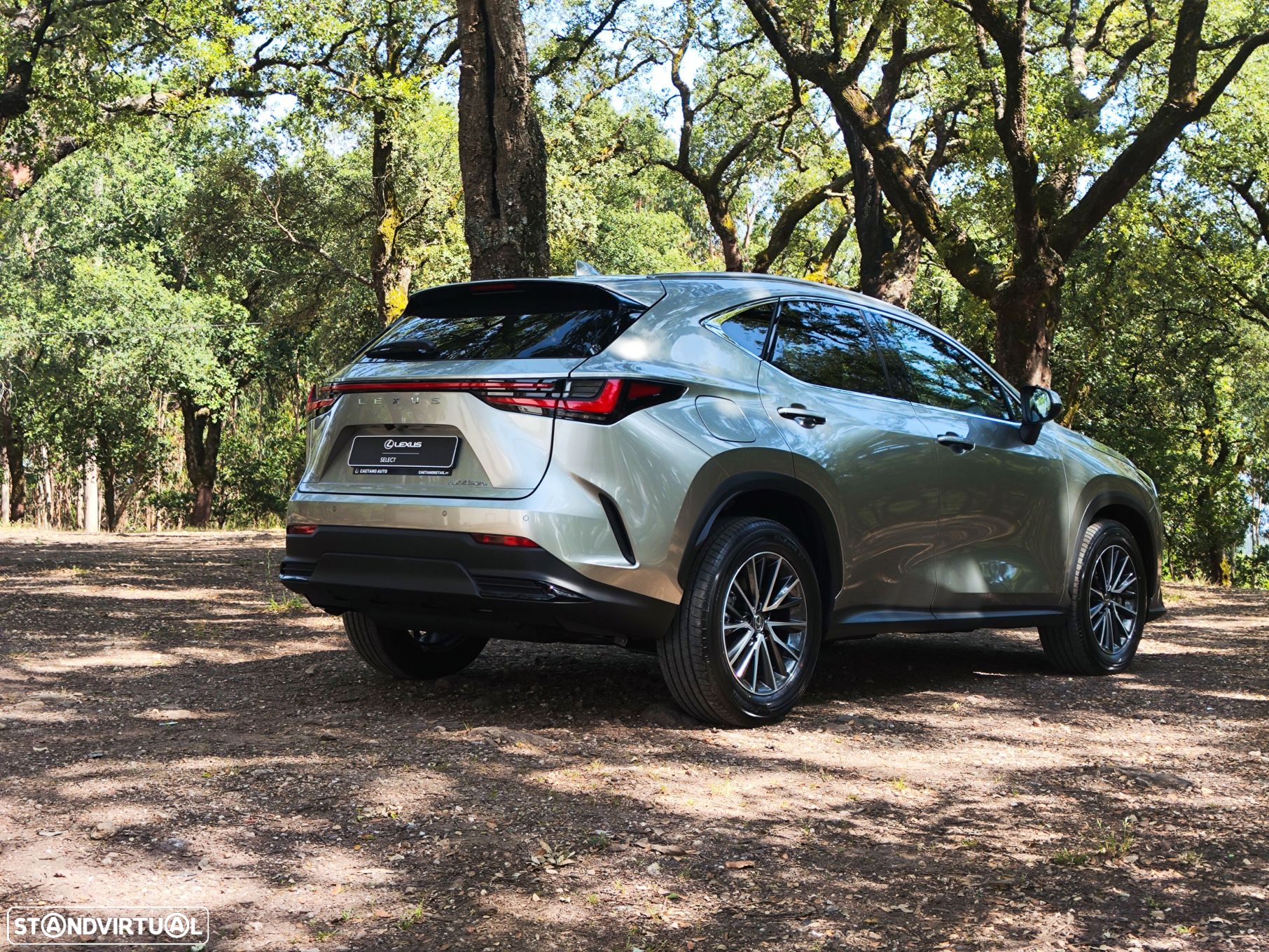 Lexus nx-450hplus - 5