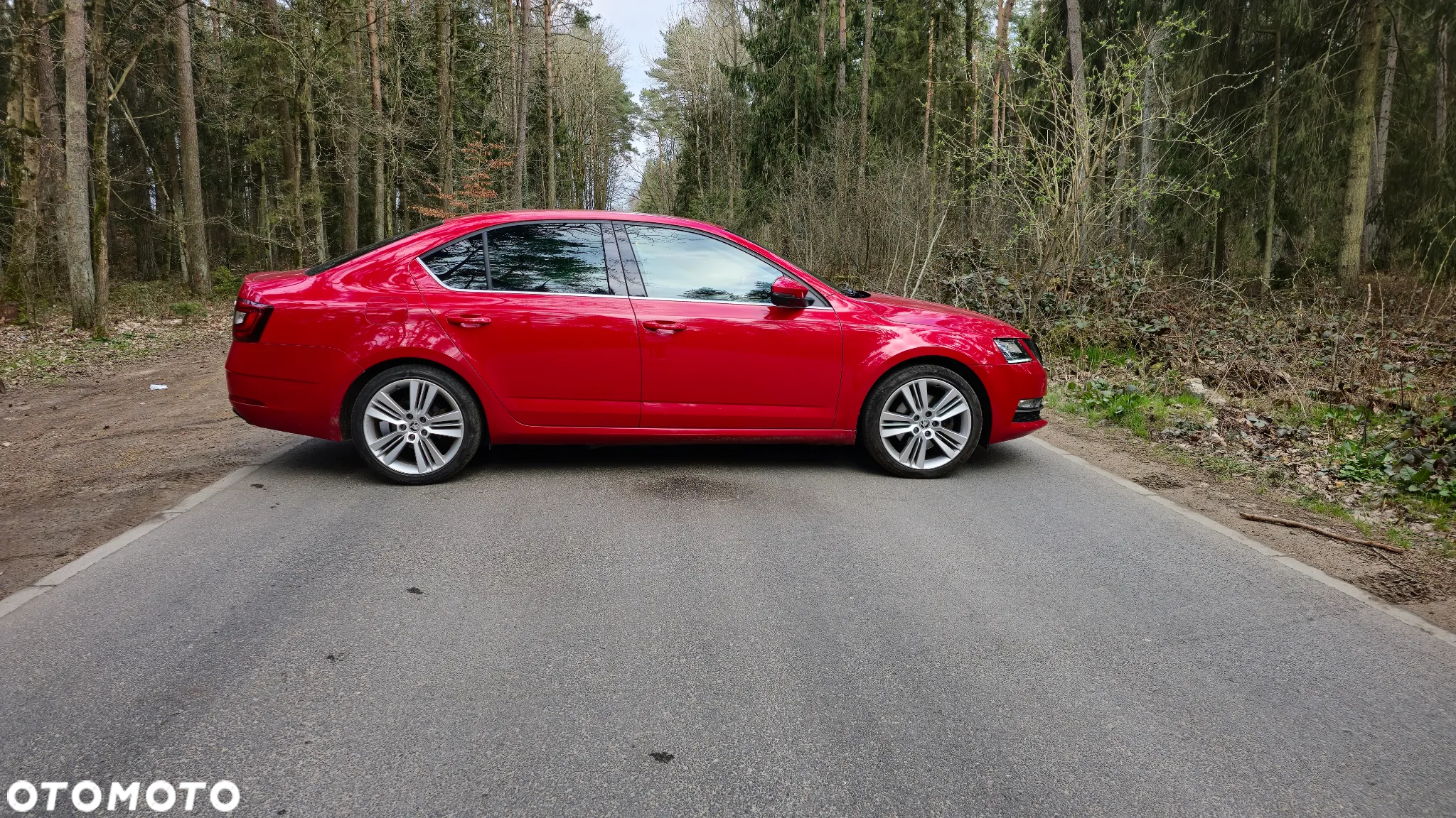 Skoda Octavia 2.0 TSI GPF Ambition DSG - 13