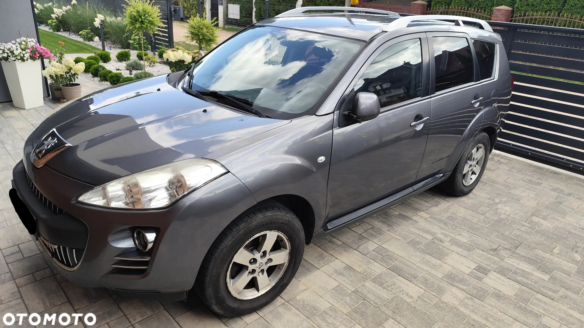 Peugeot 4007 2.2HDi Platinum - 3