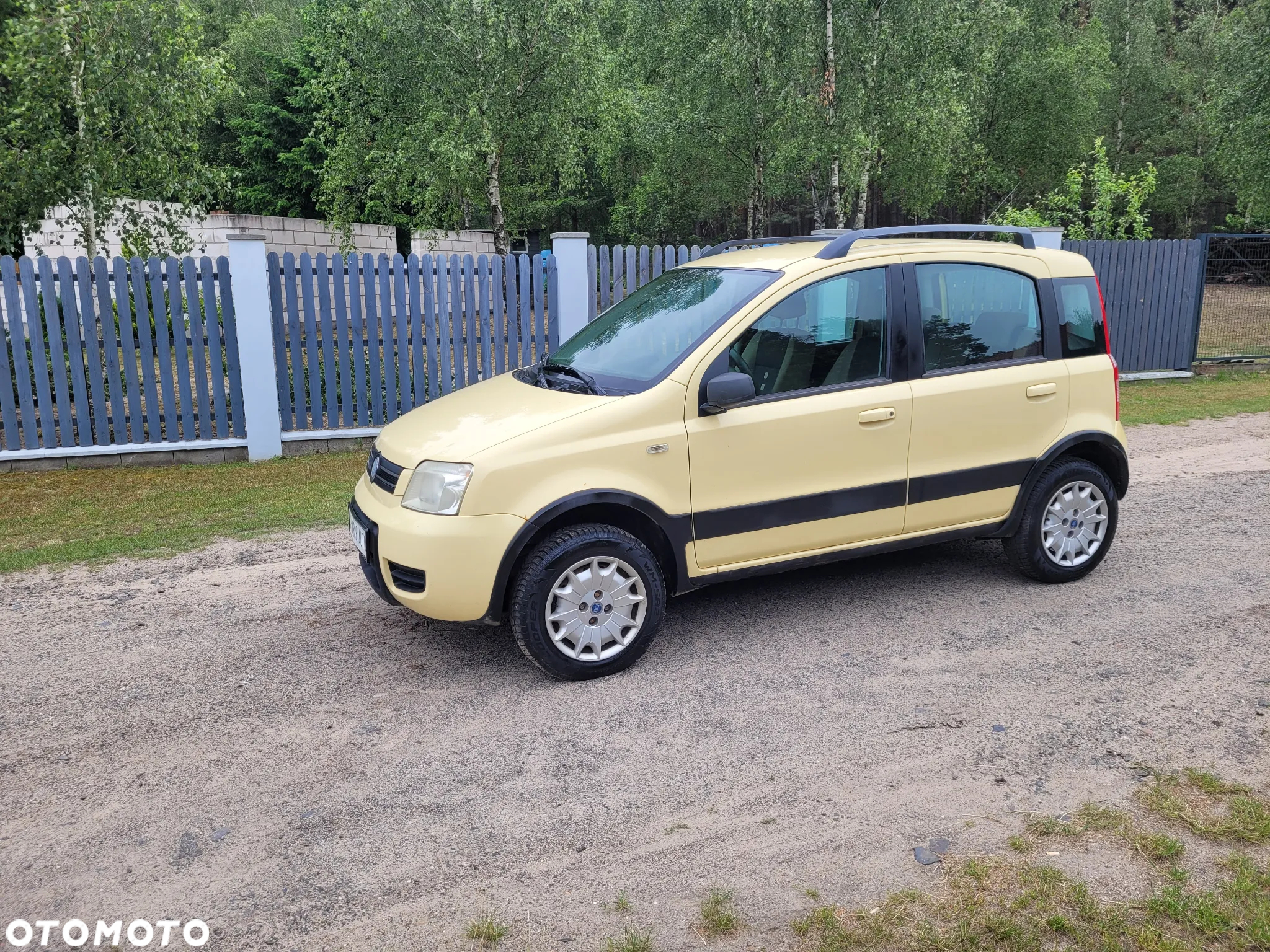 Fiat Panda 1.2 4x4 Adventure - 2