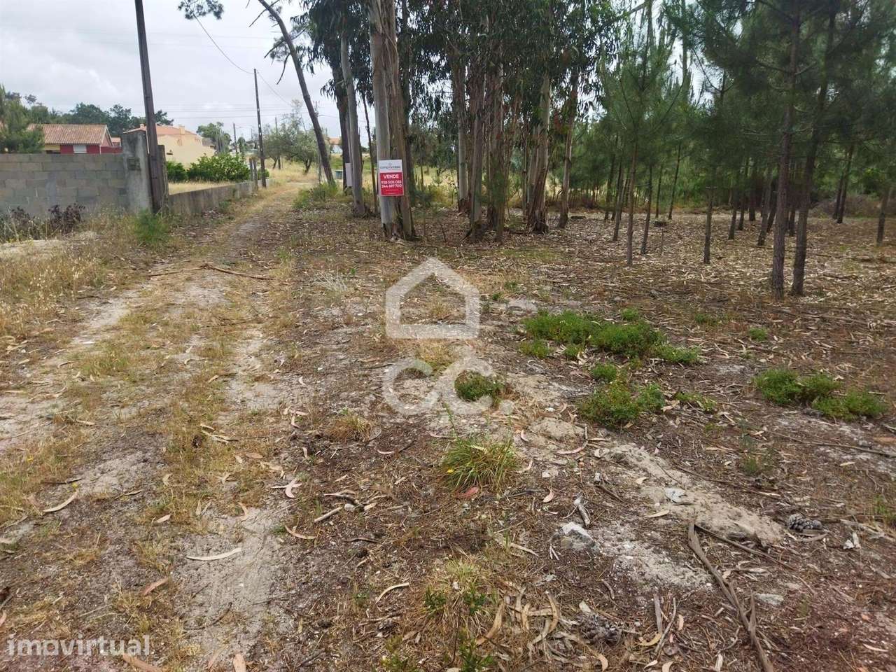 Terreno  Venda em Vieira de Leiria,Marinha Grande - Grande imagem: 3/12