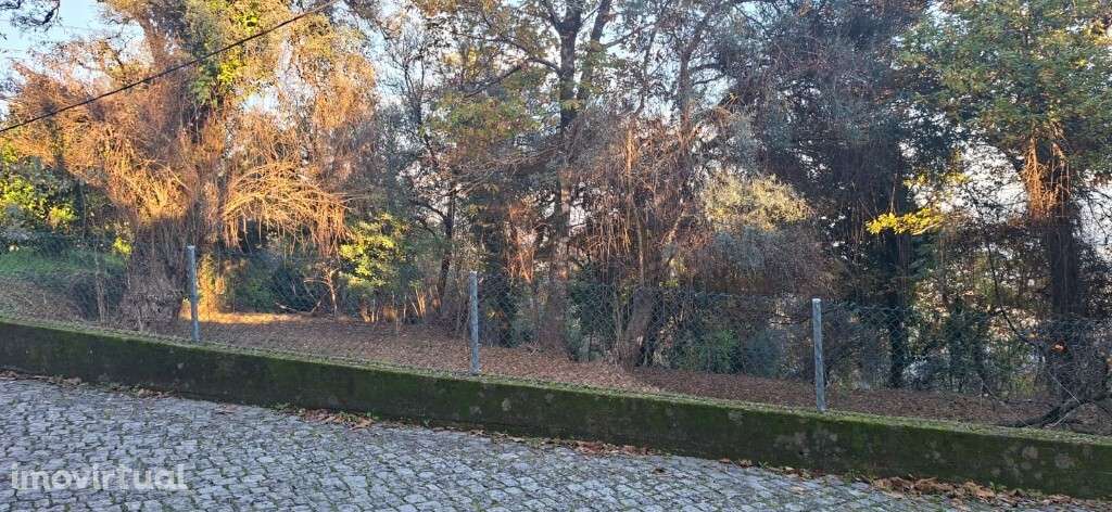 Vende-se Terreno Agrícola, Paredes -Secas  - Amares - Grande imagem: 4/35