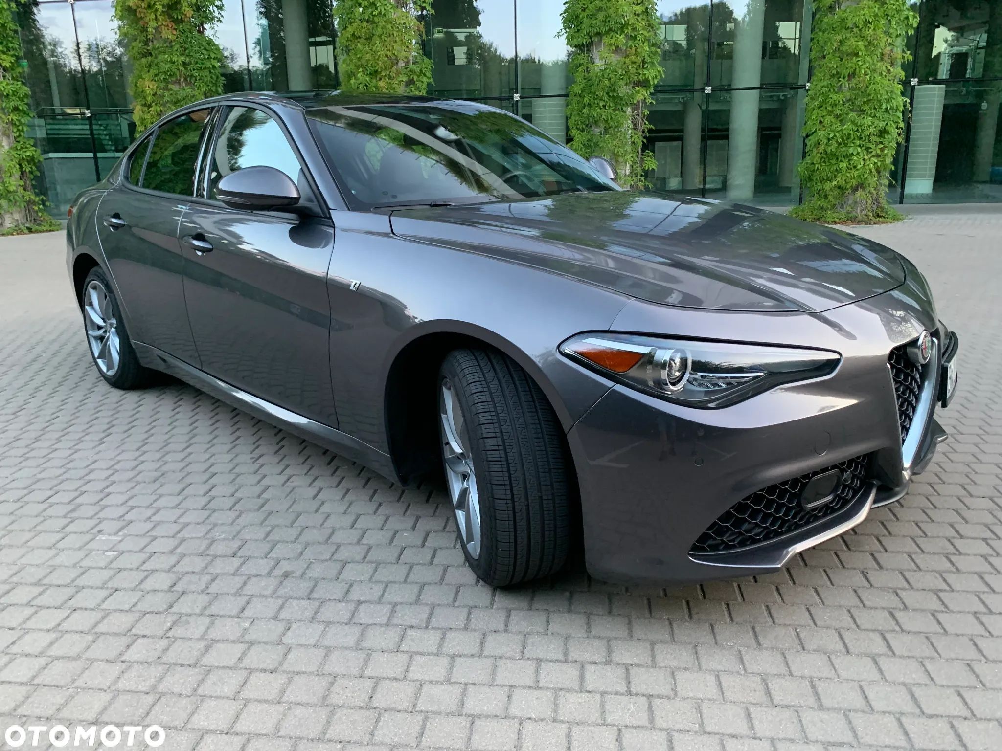 Alfa Romeo Giulia - 1