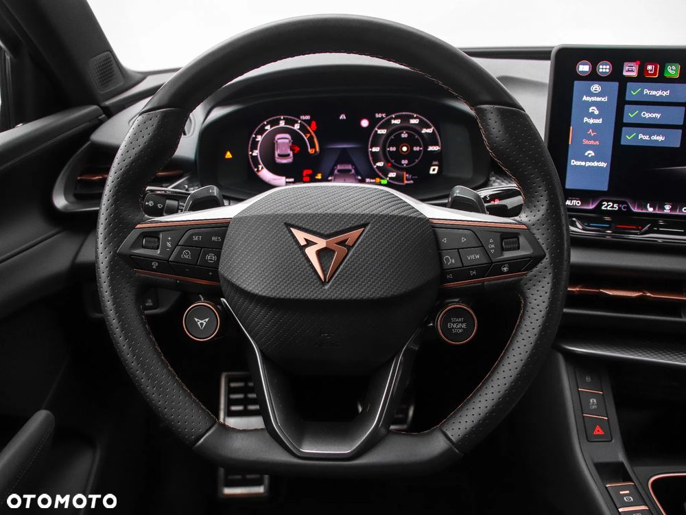 Cupra Terramar - 19