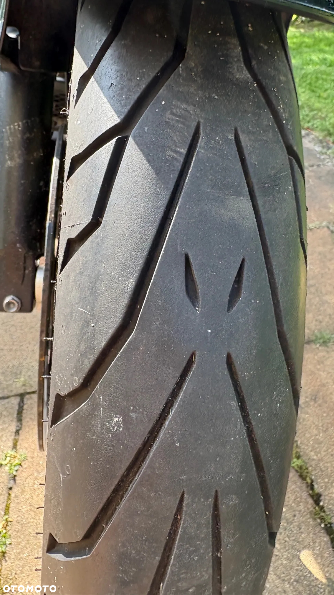 Suzuki DL