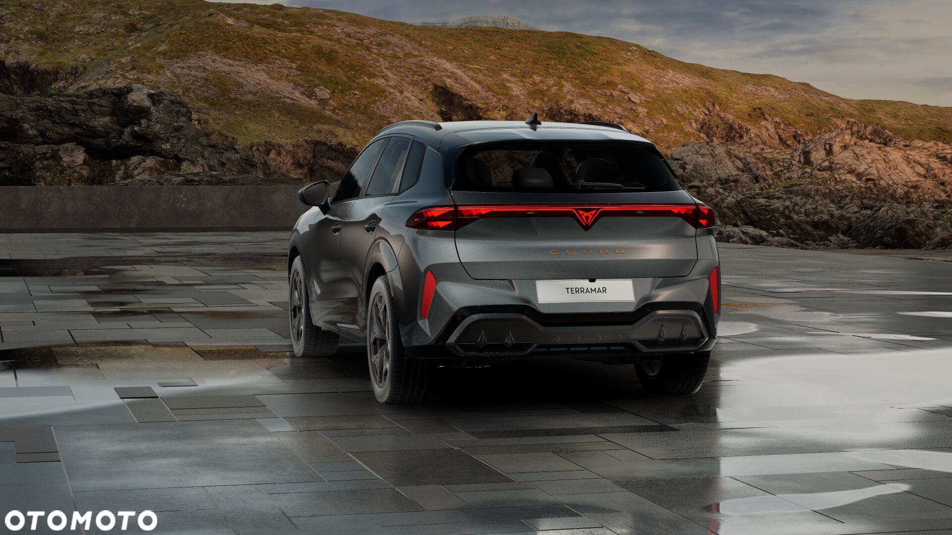 Cupra Terramar - 3
