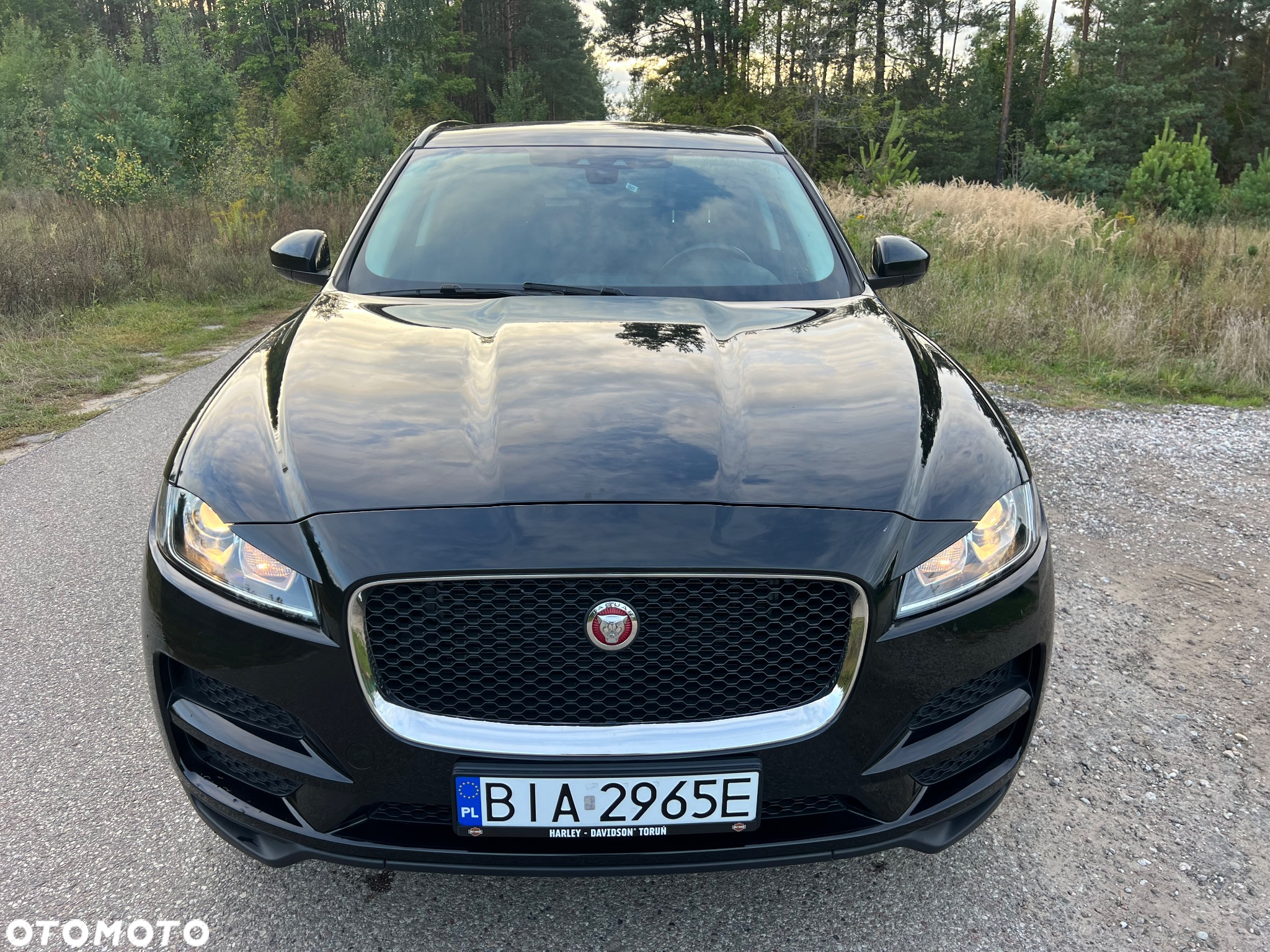 Jaguar F-Pace 2.0 i4D AWD Pure - 2